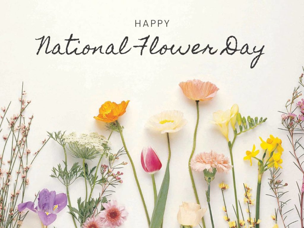 Happy National Plant a Flower Day!